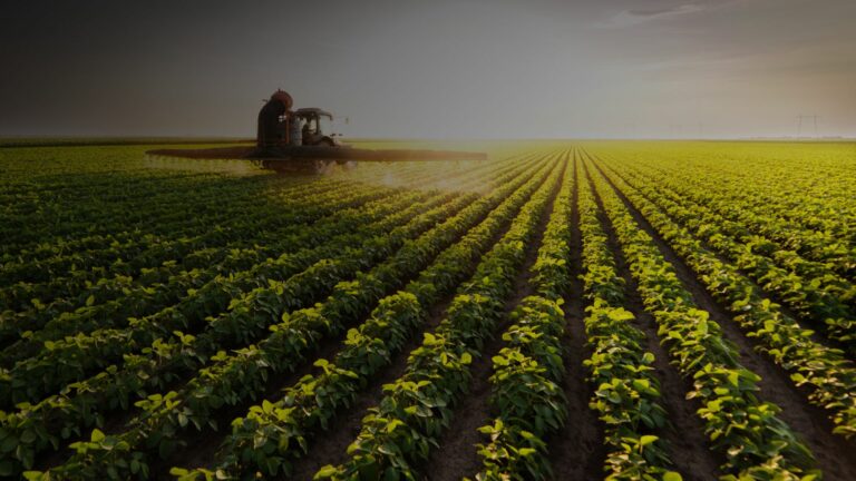 Commodities agrícolas podem valorizar no segundo semestre de 2023?
