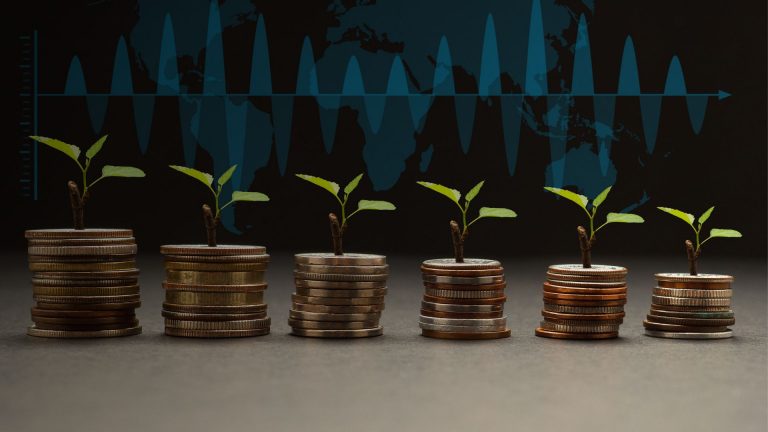 Por que investir na Carteira Top Dividendos da XP?